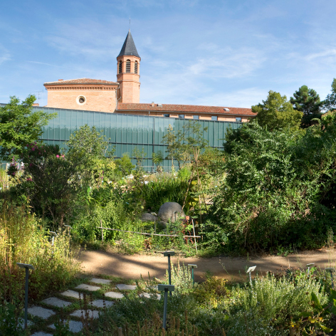 Muséum de Toulouse - Les Plantes de la mort